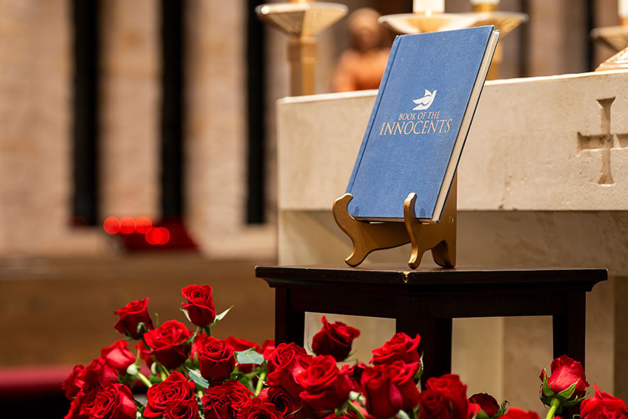 Book of innocents with roses beneath